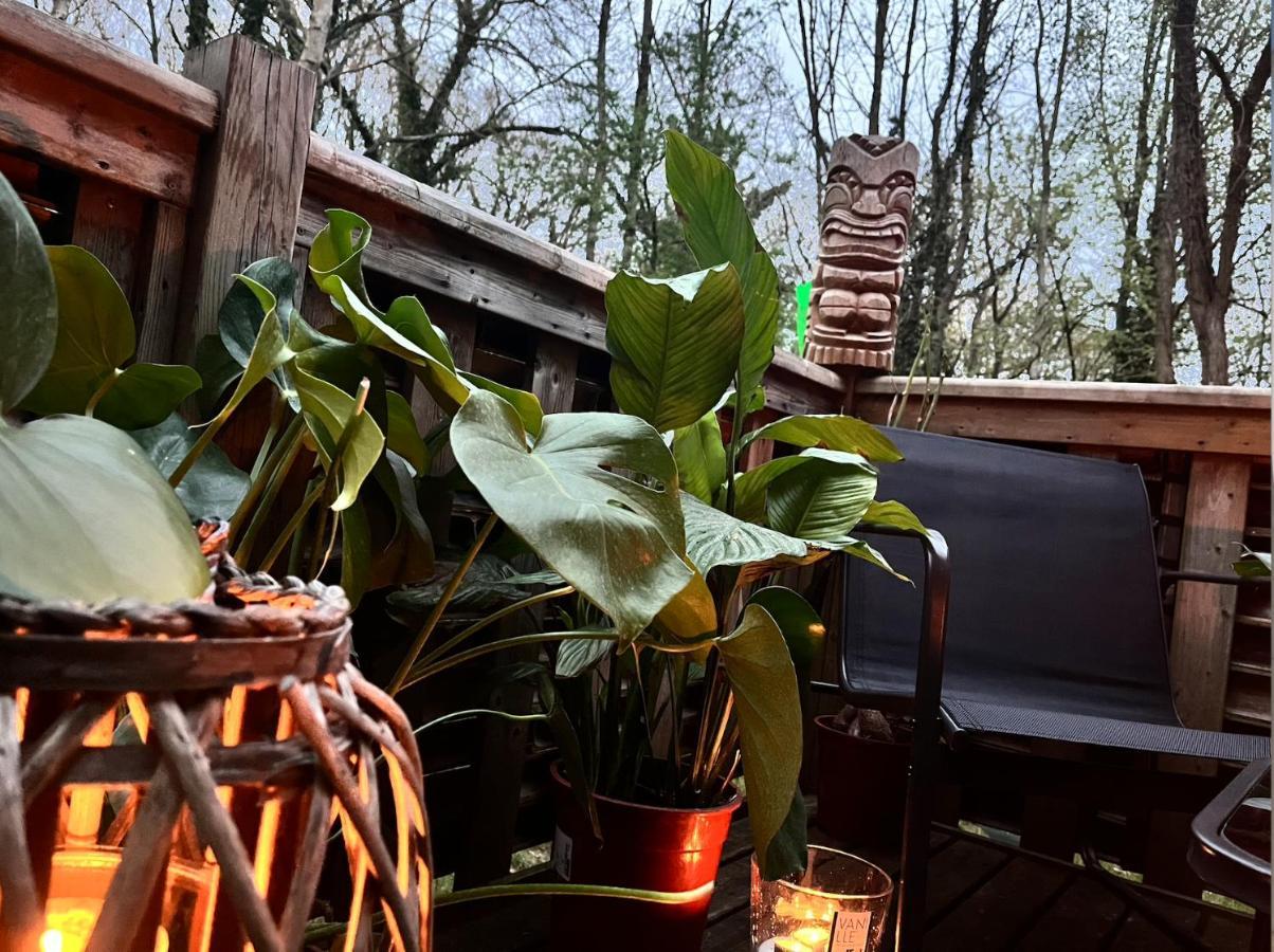 Tiki House M-Home-Climatise - Belle Parcelle ! Saint-Chéron Dış mekan fotoğraf